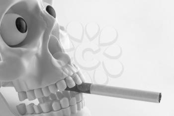 Royalty Free Photo of a Skull With a Cigarette