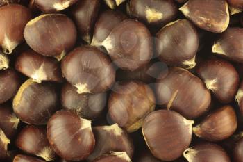 Chestnuts Texture