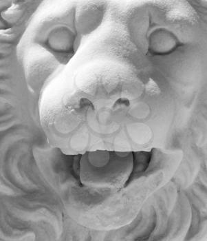 Headshot of a medieval lion statue in the medieval town of Rhodes.