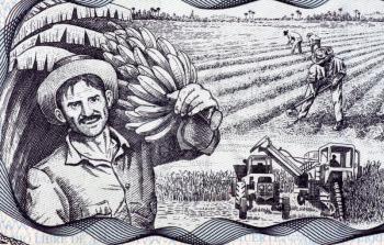 Agricultural Scene on 20 Pesos 2006 Banknote from Cuba.