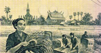 Grain Harvesting on 100 Kip 1979 Banknote from Laos.