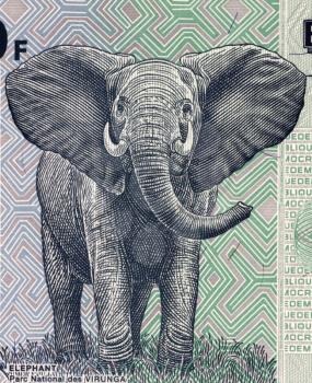Elephant on 100 francs 2007 banknote from Congo.