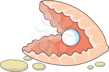 Royalty Free Clipart Image of a Cockleshell