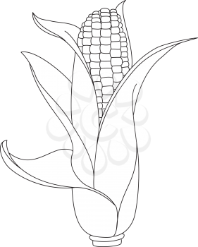 illustration of a corn outlined