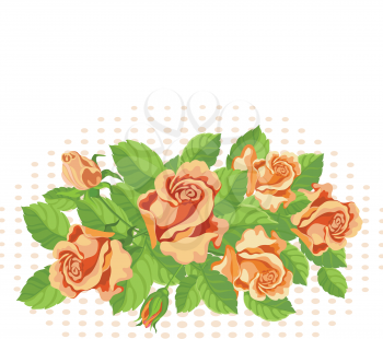 illustration of a roses background fine