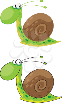 illustration of a snail funny
