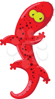 illustration of a salamander