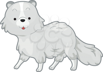 Royalty Free Clipart Image of an Arctic Fox