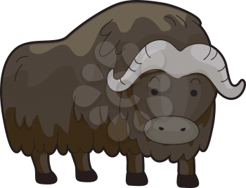 Royalty Free Clipart Image of a Musk Ox