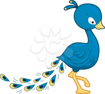 Royalty Free Clipart Image of a Peacock