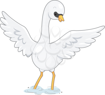 Royalty Free Clipart Image of a Swan Spreading Its Wings