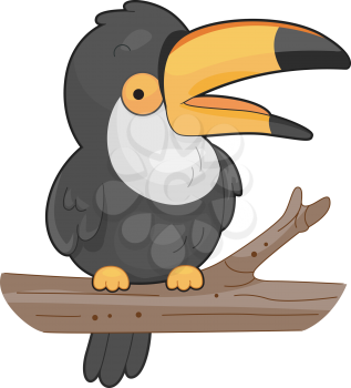 Royalty Free Clipart Image of a Toucan on a Branch