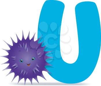 Royalty Free Clipart Image of a U and a Sea Urchin