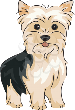 Illustration Featuring a Yorkshire Terrier