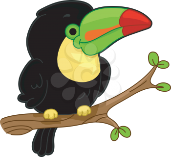 Illustration of a Toucan on a Perch