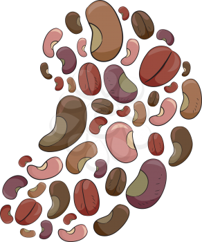 Illustration Featuring a Variety of Beans