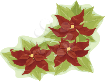Royalty Free Clipart Image of Poinsettias