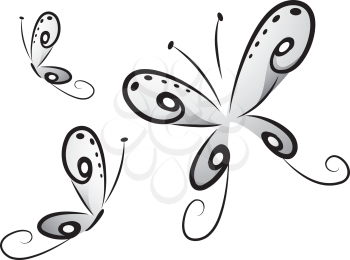 Illustration of Butterflies in Black and White