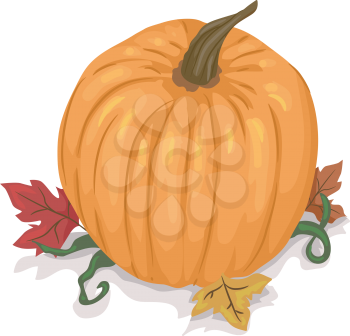 Illustration of a Pumpkin Sitting on Top of Maple Leaves