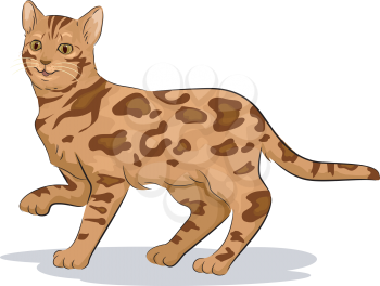 Illustration of a Cute Bengal Cat with One Paw Raised
