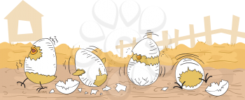 Illustration of Cute Chicken Hatchlings Still Partially Covered by Cracked Egg Shells