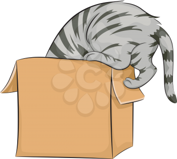 Illustration of a Cat Curiously Peeking Inside a Box