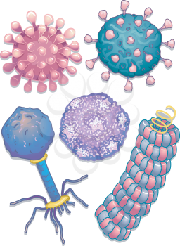 Colorful Illustration Featuring Common Viruses