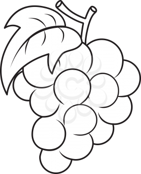 Coloring Book Illustration Featuring the Outlines of a Bunch of Grapes