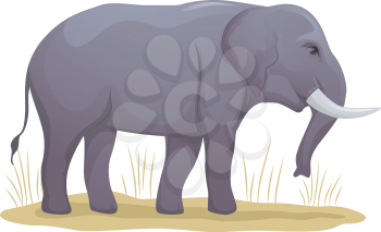Illustration Featuring an Elephant Standing on a Patch of Dry Grass