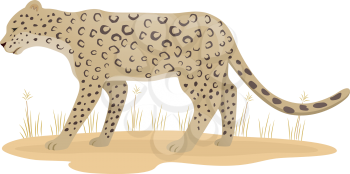 Illustration Featuring a Leopard Standing on a Patch of Grass