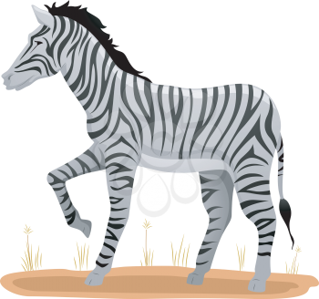Illustration of a Zebra Standing on a Patch of Dry Grass