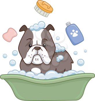 Illustration of a Pit Bull Taking a Bath