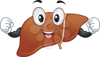 Mascot Illustration Featuring a Liver Flexing Its Muscles