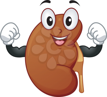 Mascot Illustration Featuring a Strong Kidney Flexing its Muscles