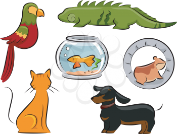 Design Illustration Featuring Different Pets