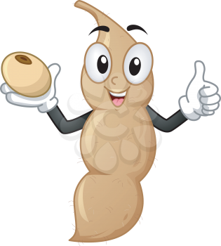 Mascot Illustration Featuring a Soy Bean Doing a Thumbs Up