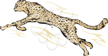 Illustration Featuring a Cheetah in the Middle of a Leap