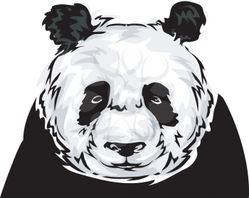 Illustration Featuring a Panda