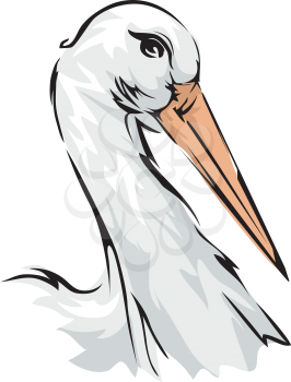 Illustration Featuring a Stork