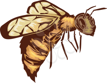 Illustration Featuring a Bee