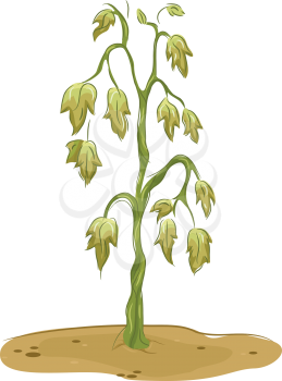 Illustration Featuring a Wilted Plant