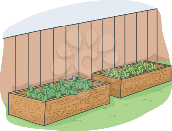 Illustration Featuring Plants in a Raised Box