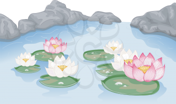 Illustration Featuring Lotus Flowers Floating on Water