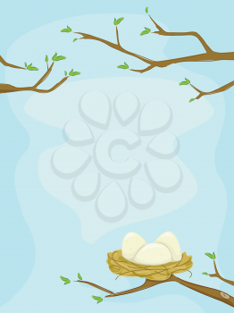Frame Illustration of a Bird's Nest Filled With Unhatched Eggs