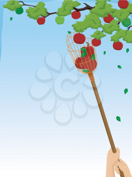 Background Illustration of a Person Using  a Fruit Picker to Harvest Apples