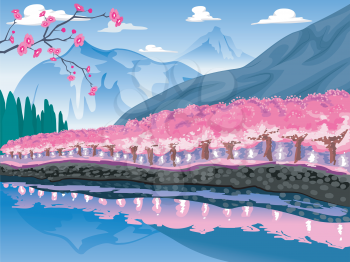 Illustration of  Mountain Decorated by a Line of Cherry Blossom Trees
