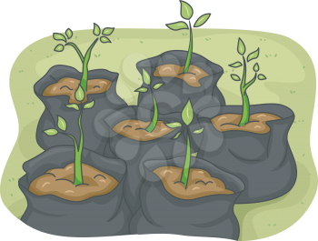 Illustration of Saplings in Black Garbage Bags at Different Stages of Growth