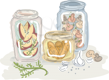 Sketchy Illustration of Fruits and Vegetables Preserved in Jars