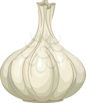 Illustration of a Freshly Picked Garlic Clove