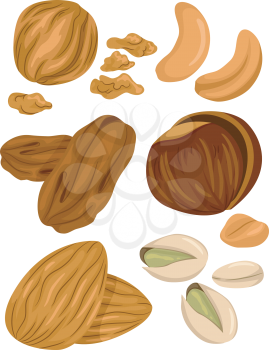 Illustration of Different Types of Nuts With a Few Cracked Open